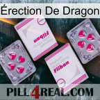 Érection De Dragon 33